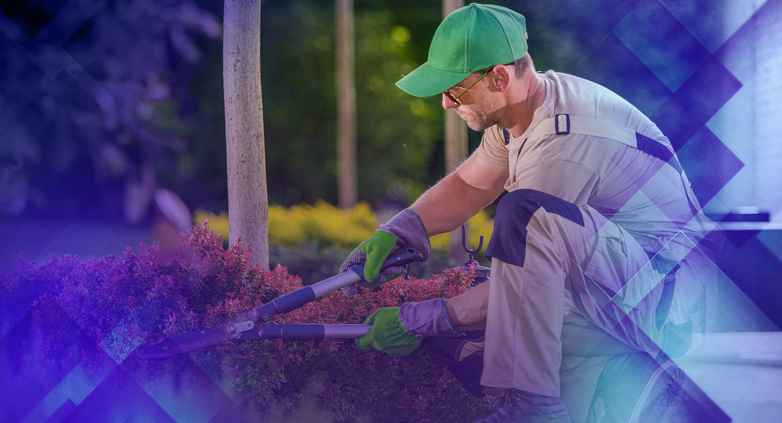 Limpeza, Conservação e Jardinagem Profissional