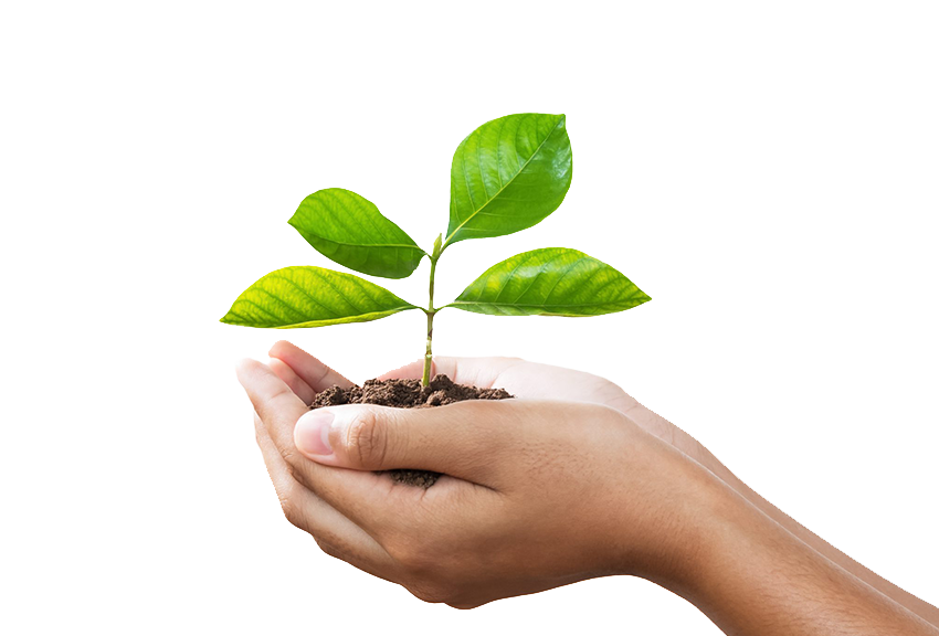 Sustentabilidade MLA Conservadoria