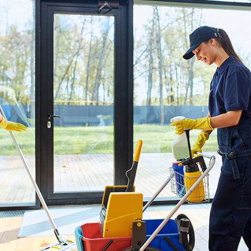 Limpeza e Conservação
